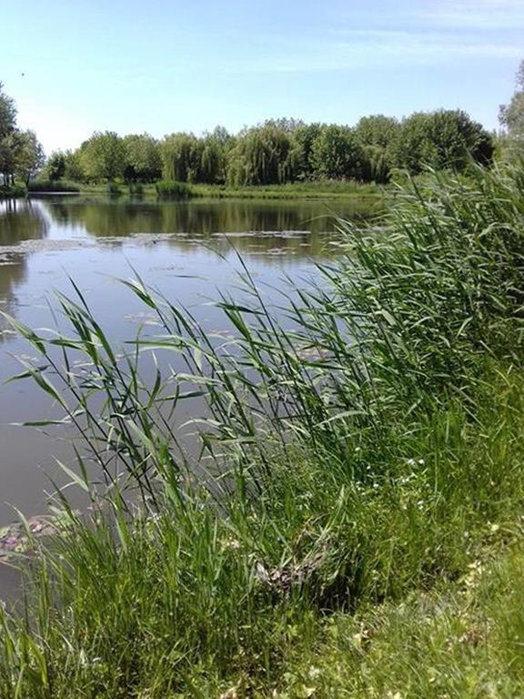 Villa Levendula Ház Lipót Esterno foto
