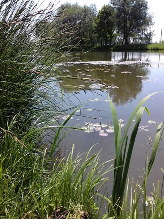 Villa Levendula Ház Lipót Esterno foto